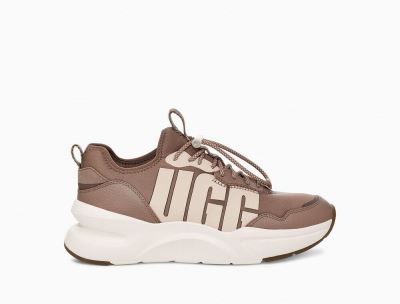 UGG LA Daze Sneakers for Womens - Brown India